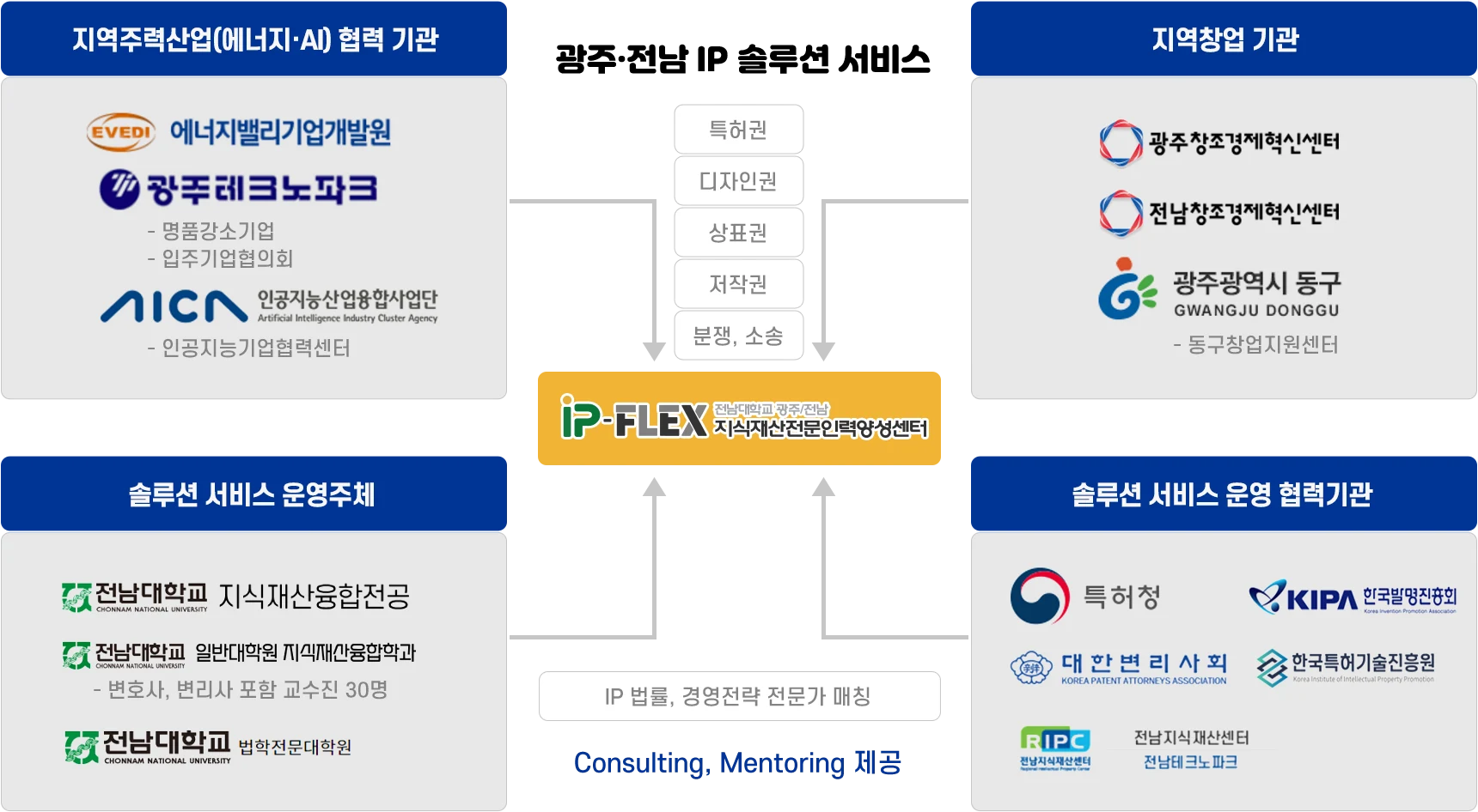 IP 솔루션 체계도